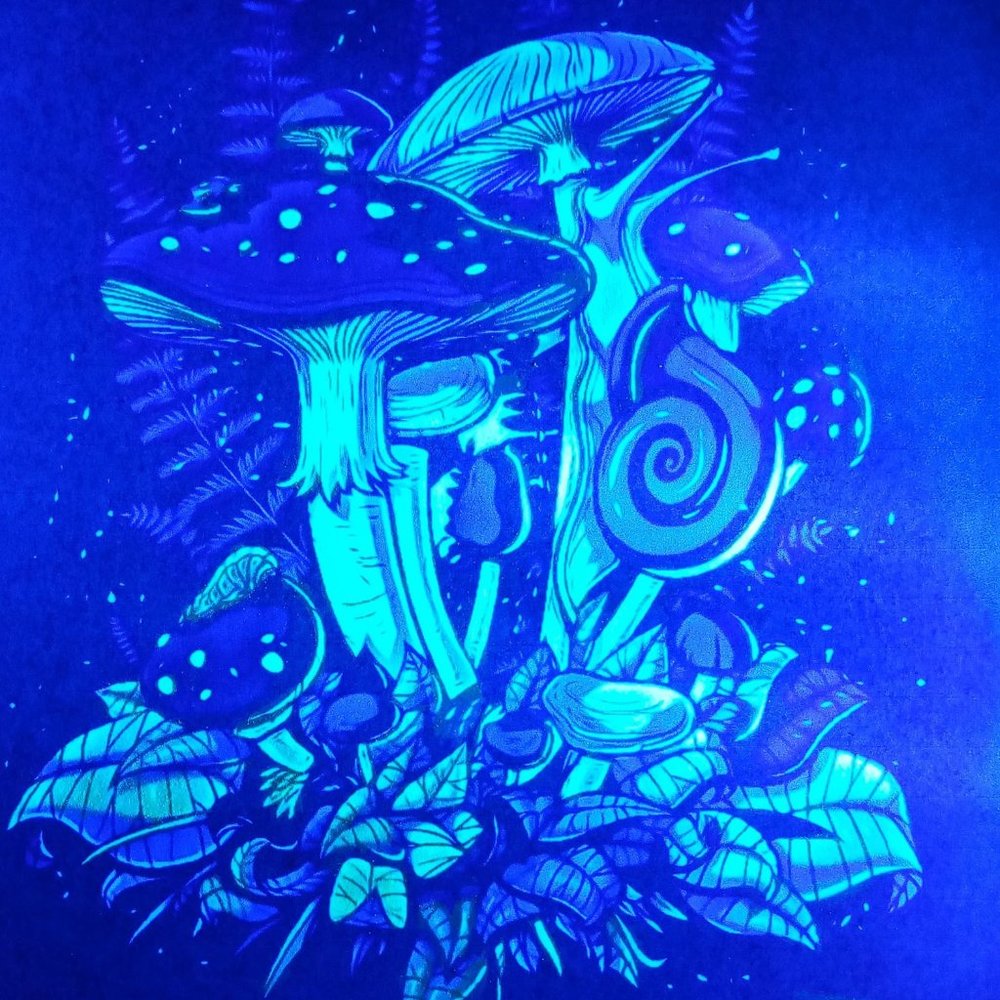 Mushroom cluster Blacklight print